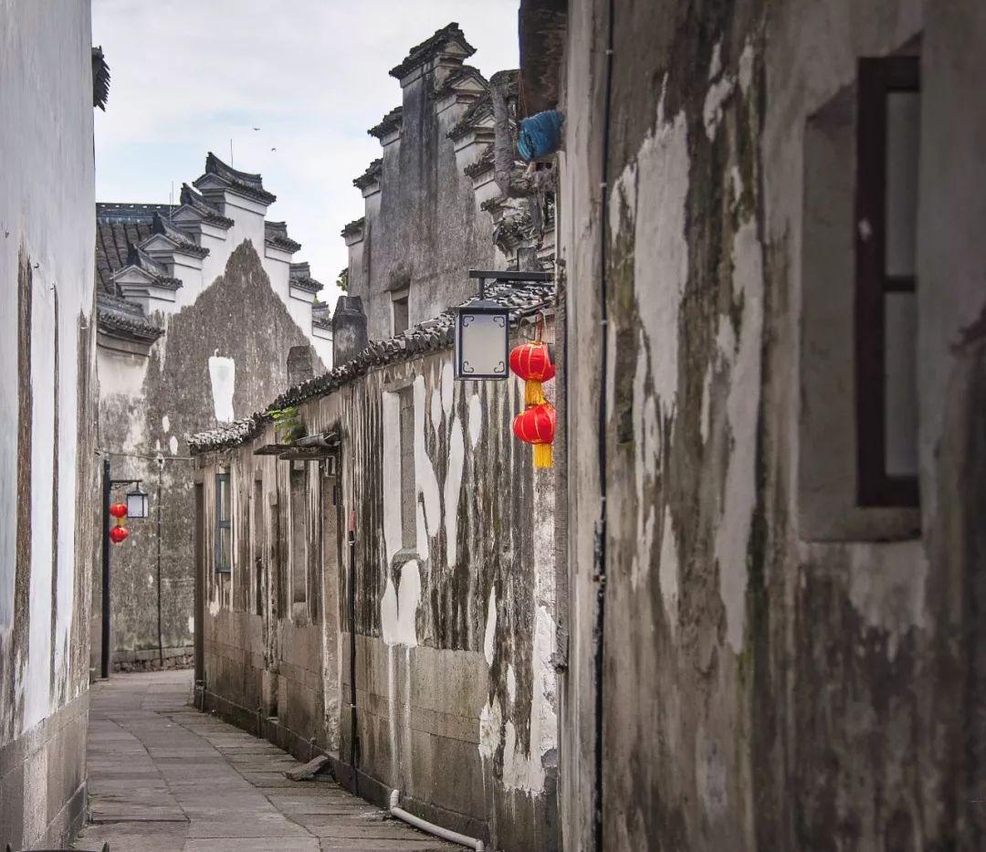 细胞分裂4